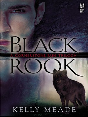 cover image of Black Rook